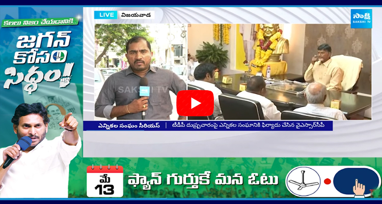 Election Commission Serious On TDP Activities Against Election Code 