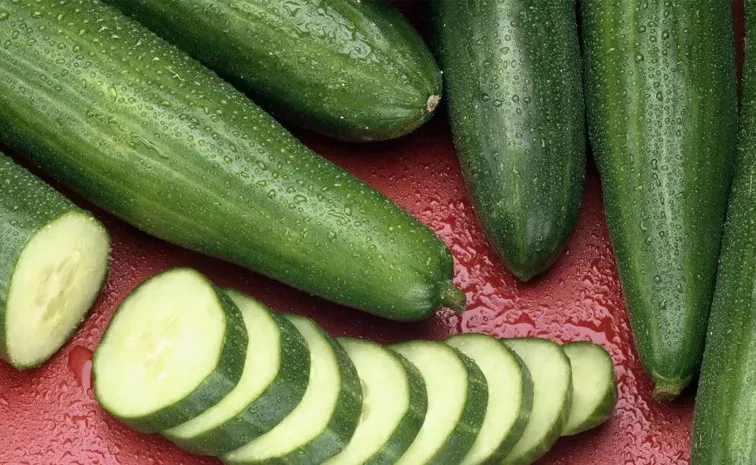 Summer 2024 health benefits of cucumber