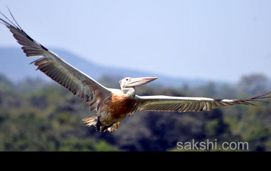 2014 Best Images - Sakshi