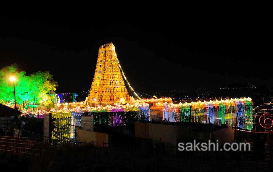 pushkara lighting in vijayawada