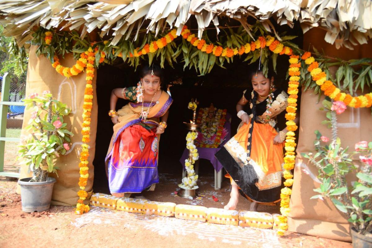 sankranti sambaralu in vijayawada - Sakshi