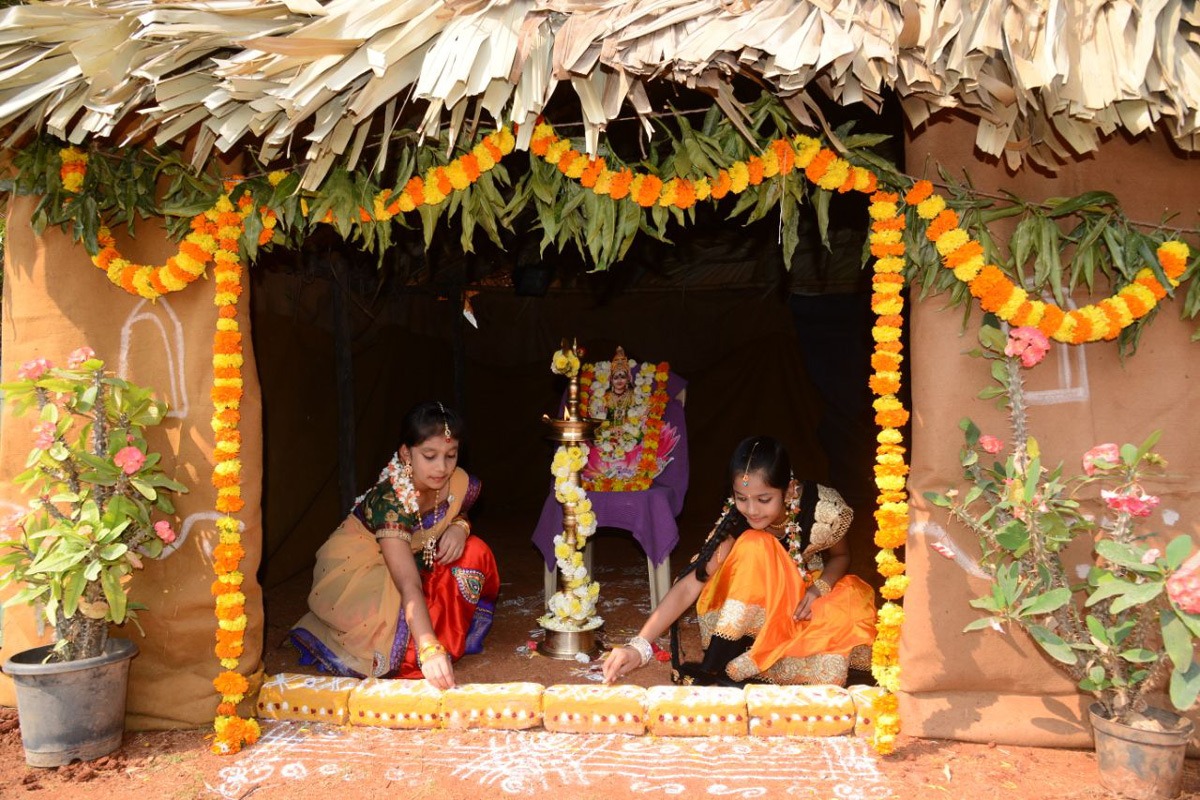 sankranti sambaralu in vijayawada - Sakshi