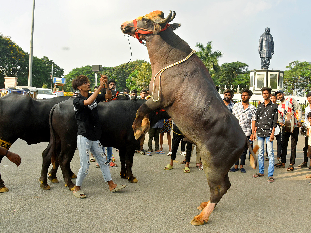 Sadar Festival Celebrations In Hyderabad - Sakshi