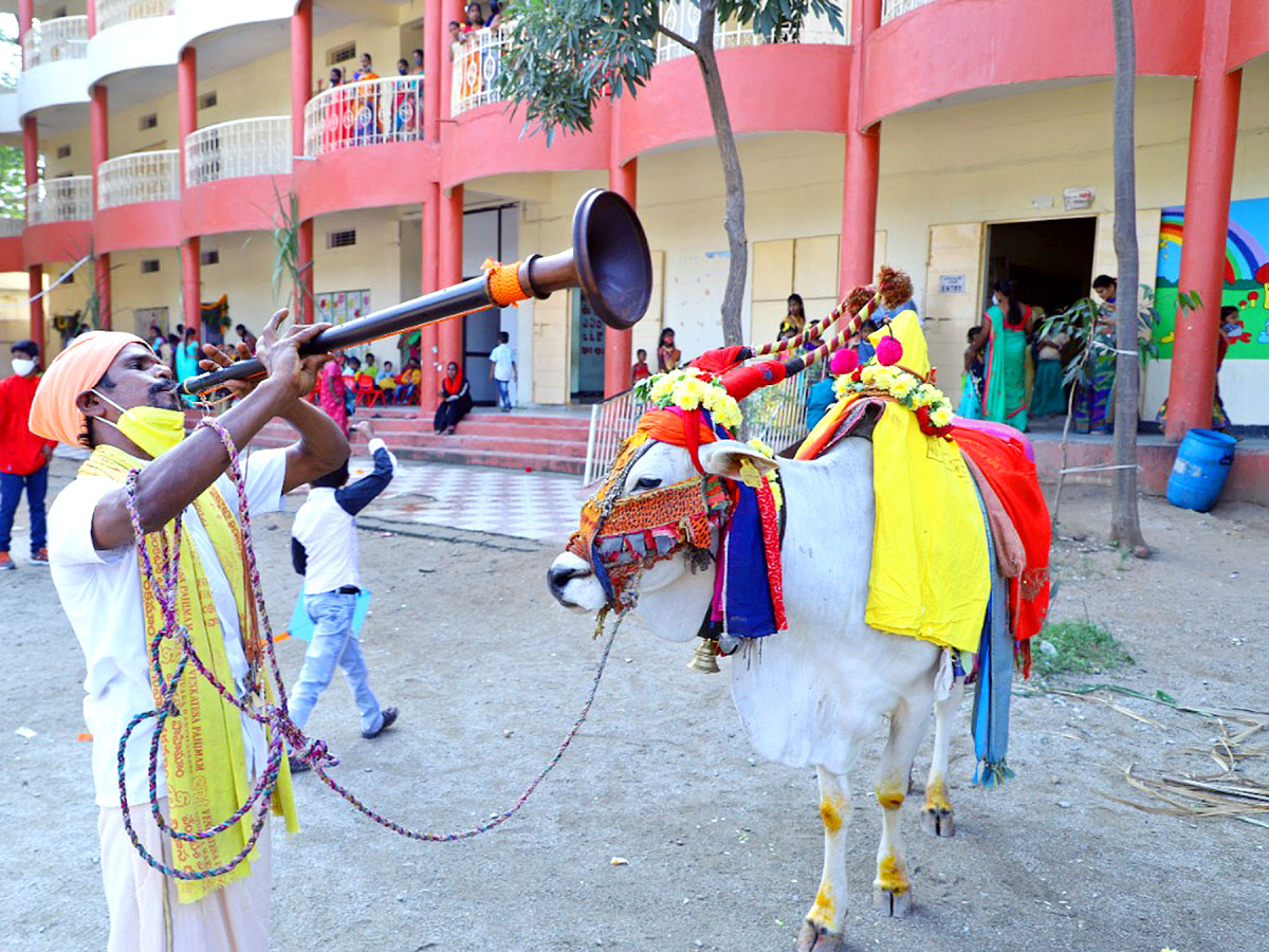 Sankranthi Celebrations in Tirupati  - Sakshi