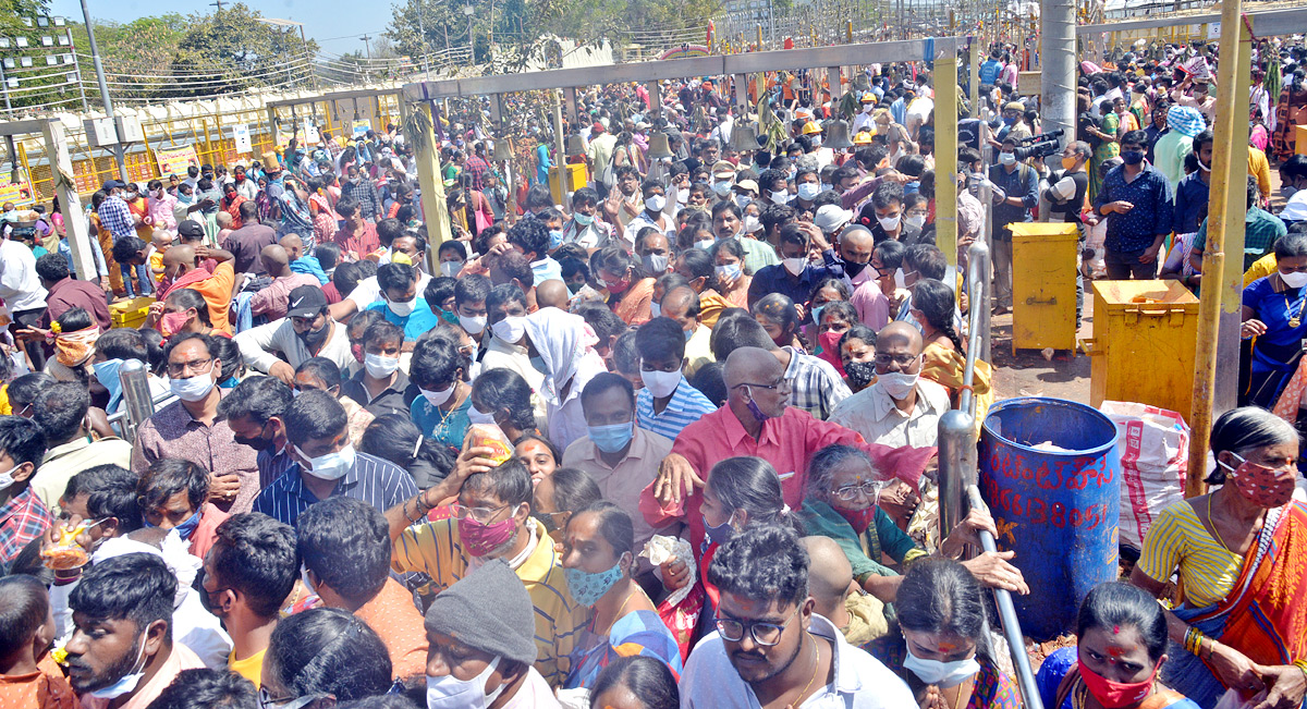 Heavy Rush With Devotees at Medaram Jatara - Sakshi