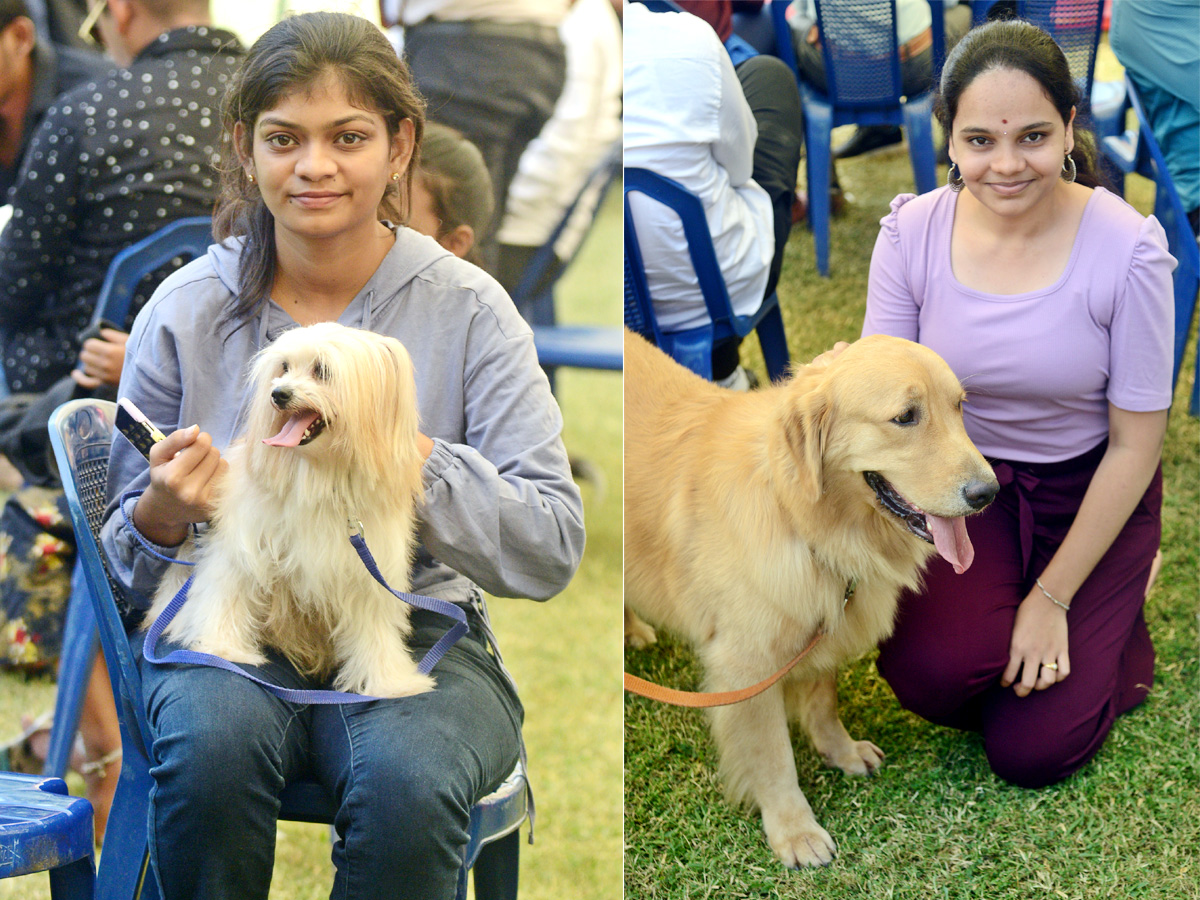 Dog Show Draws Huge Crowds In Visakhapatnam - Sakshi