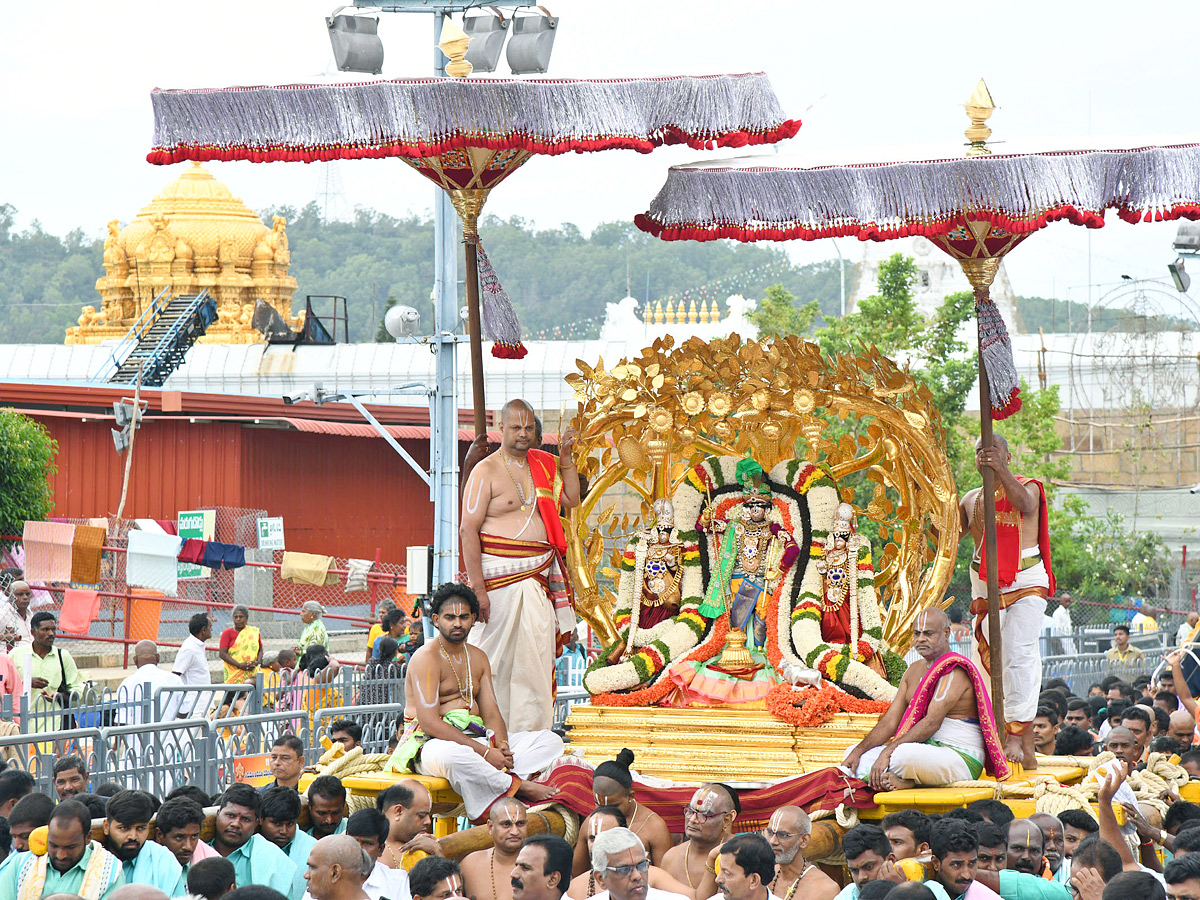 Tirumala Brahmotsavam Malayappa Swami on kalpavriksha vehicle Photos - Sakshi