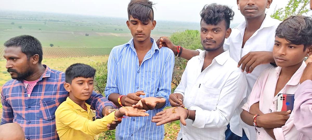 Devotees offer scorpions to Deity at Kodumur temple in Kurnool - Sakshi