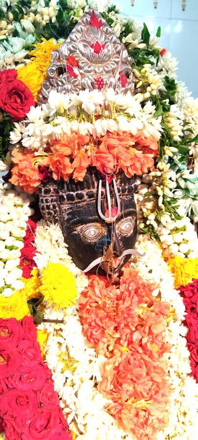 Devotees offer scorpions to Deity at Kodumur temple in Kurnool - Sakshi