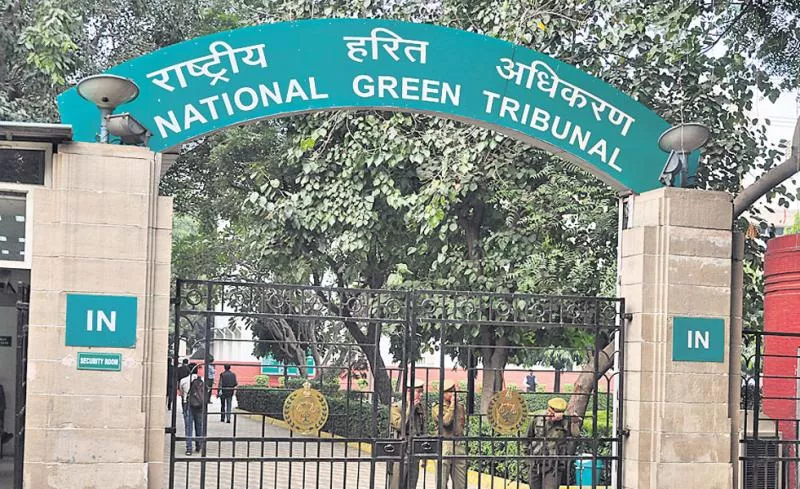 National Green Tribunal Judgment on Amaravati Construction with some conditions - Sakshi - Sakshi