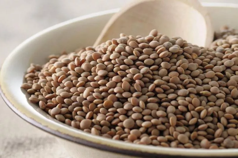 Adding Cheap Lentils To Meals Could Combat High Blood Pressure - Sakshi