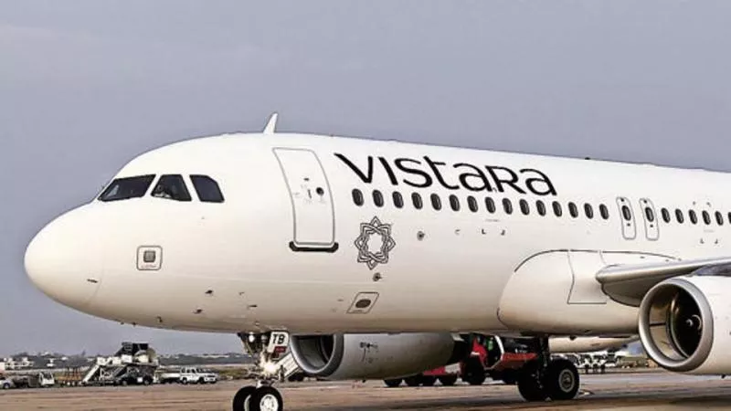 Air Vistara Rejects Passengers Tweet Claiming Cockroach Found In Food - Sakshi