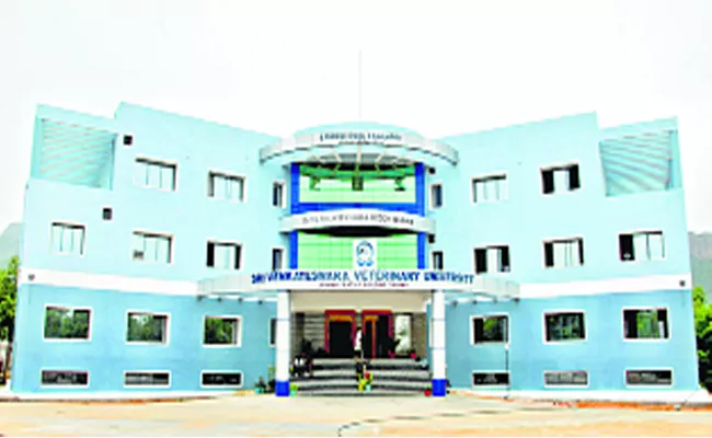 Contraversy On Faculty promotions In Sri Venkateswara University - Sakshi