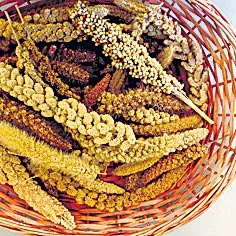 millet basket crops - Sakshi