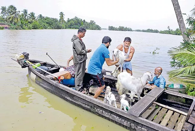 Kerala fishermen turn into true heroes for saving flood victims - Sakshi