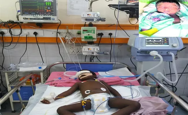 Eight Year Old Boy Died With Dengue Fever Warangal - Sakshi