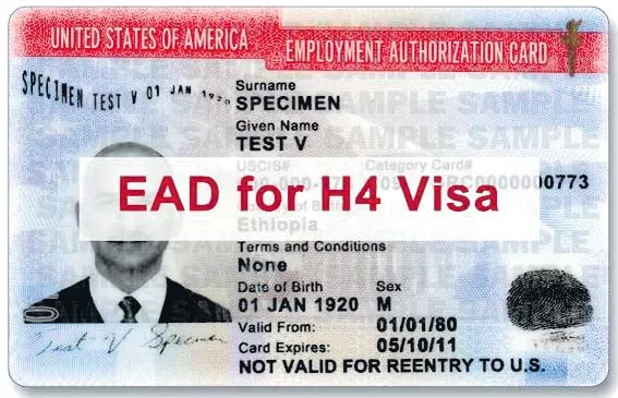 Bill in US Congress to protect H-1B spouses - Sakshi