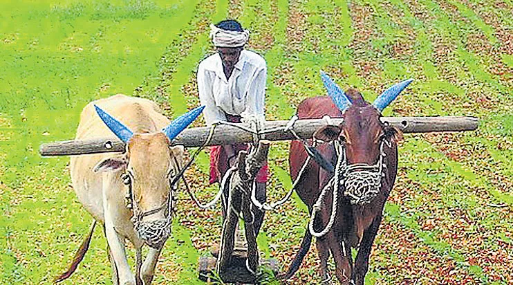 Naveen Patnaik announced KALIA scheme for farmers - Sakshi