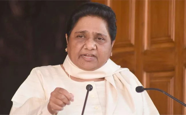 People Loot Cake During BSP Chief Mayawati Birthday Video Viral - Sakshi
