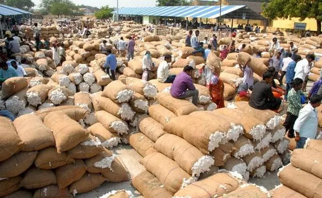 Cotton Crop And Khammam Agriculture - Sakshi