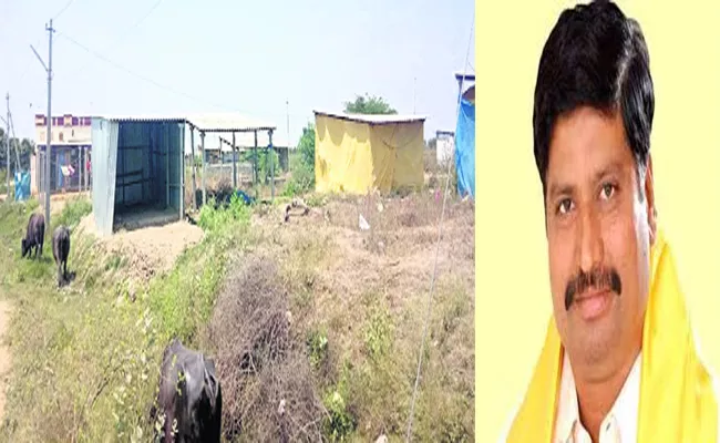 TDP MLA  Kommalapati Sridhar Constituency Pedakurapadu  Is  Dummy Adoption - Sakshi