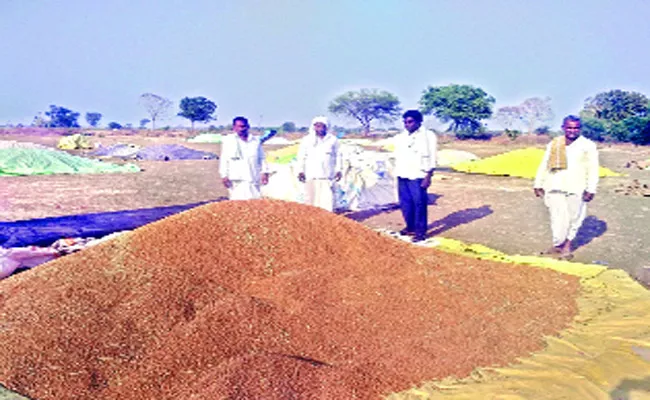 Farmers  Concern On Peanut Crop In nizamabad - Sakshi