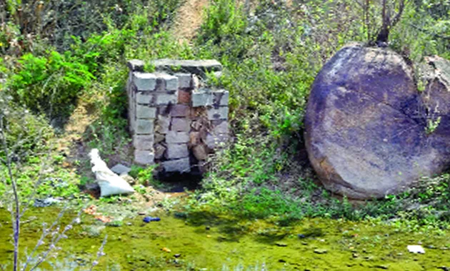 Dilapidated Of nizam Sagar Canals - Sakshi