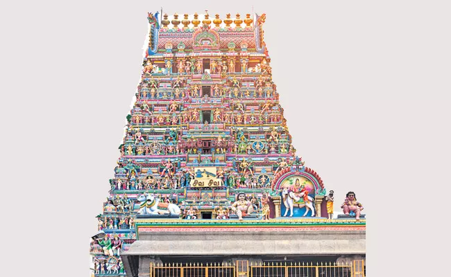 There are Many Features in Every Part of the Temple - Sakshi
