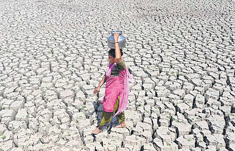 Desertification has increased in 90 per cent of states in India - Sakshi
