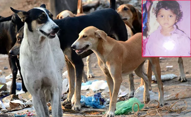 Street Dogs Killed Baby Boy in Karnataka - Sakshi