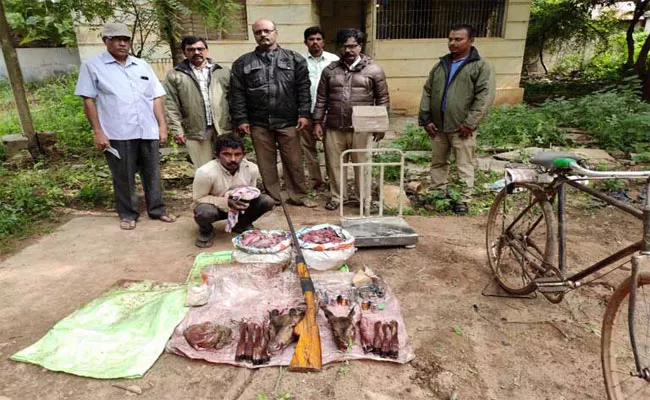 Nallamala Forest Officers Arrested Spatted Deer Hunter In Kurnool - Sakshi