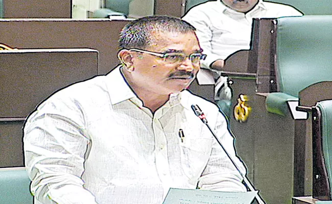 Agriculture Minister Niranjan Reddy About Farmer Insurance - Sakshi
