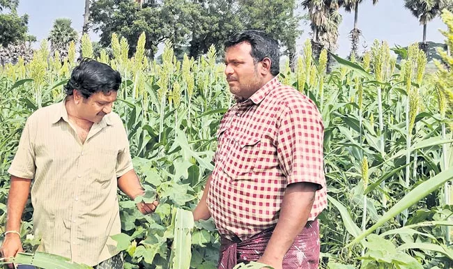 Arimilli Krishna, Bapiraju Brothers Joint Farming - Sakshi