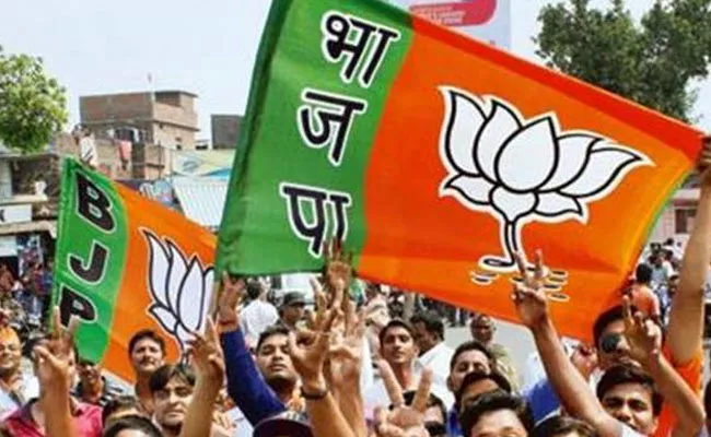 Pentapati Pullarao Guest Column Bihar Political Importance Of BJP - Sakshi