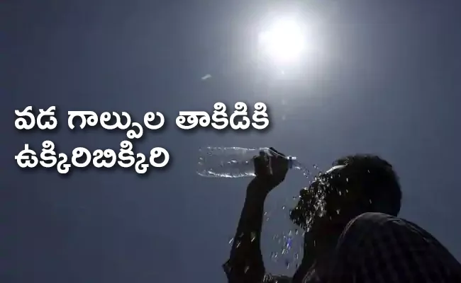 Social Media Memes On Sunny Weather Conditions In Telugu States - Sakshi