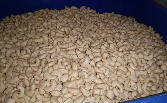 Corona Effect On Palasa Cashew Nuts - Sakshi
