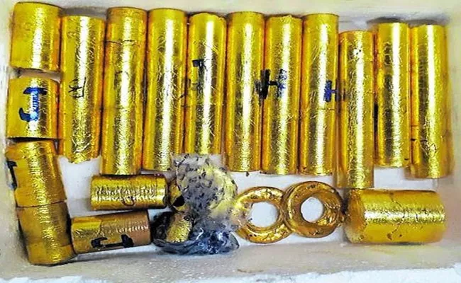 Kerala Gold Smuggling Scandal To Be Probed By NIA - Sakshi