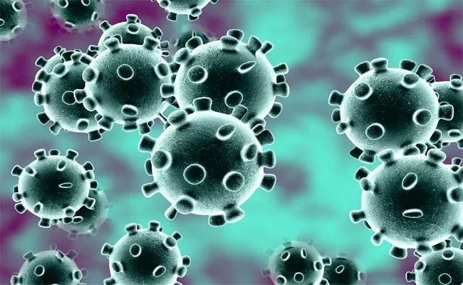 Corona Virus Tests Stopped In Private Labs - Sakshi