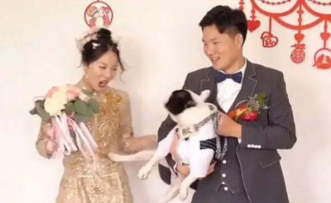 Hilarious Pet Dog Kicks Away Bride Owner From Her Wedding Day - Sakshi