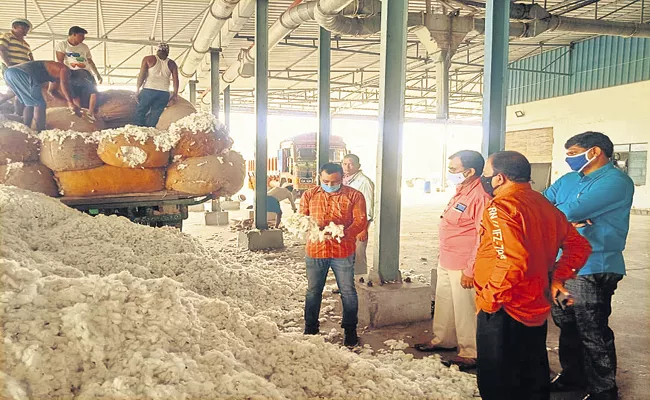 Cotton Purchases Begin In AP - Sakshi