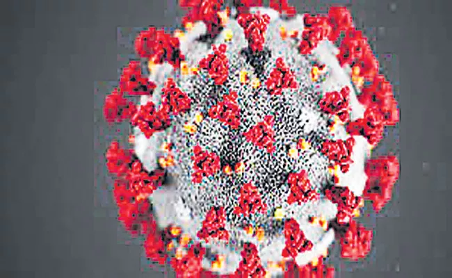 Chinese researchers now claim COVID-19 virus originated in India - Sakshi