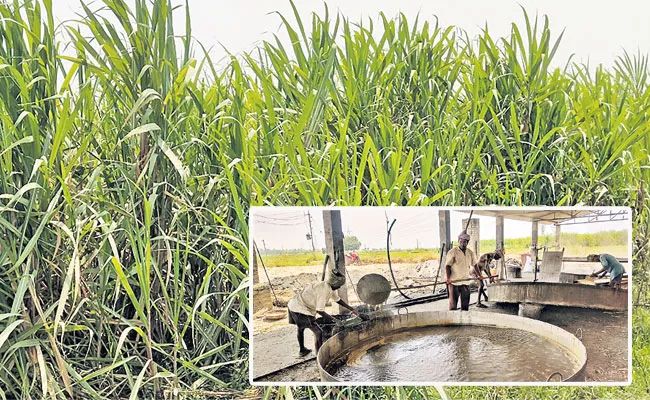 COVID 19 Impact: Sugarcane Farmers Brace For Big Losses, Jaggery Sales Down - Sakshi