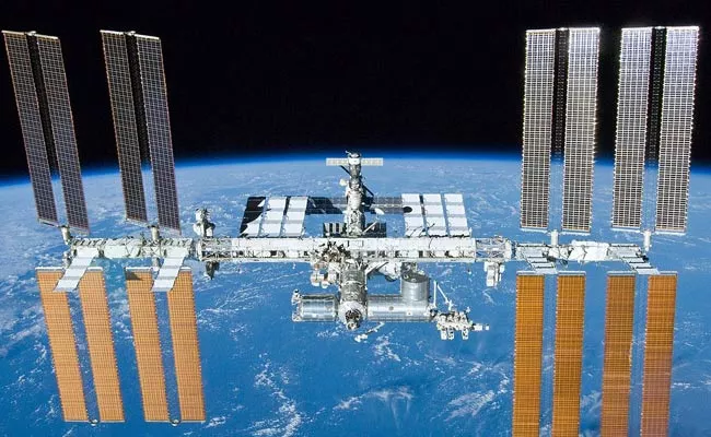 NASA Growing Chili Pepper On International Space Station - Sakshi