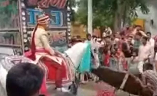 Viral Video: Horse Runs Away With Groom In Rajasthan - Sakshi