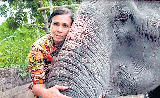 Sangita Iyer 26-part Docu-series Asian Elephants 101 - Sakshi