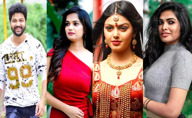 Bigg Boss Telugu 5: These Former Bigg Boss Contestants May Enter In Diwali Episode - Sakshi