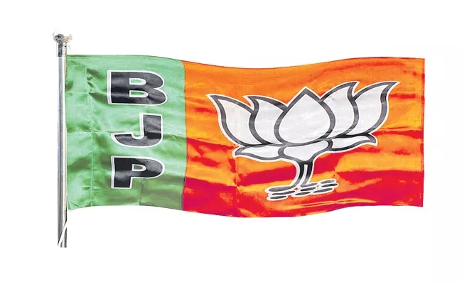 Telangana: Four Seats In The BJP New National Executive - Sakshi