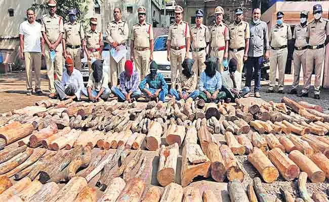 Large Quantity Sandalwood Logs Seized By Sullurupeta Police Nellore - Sakshi