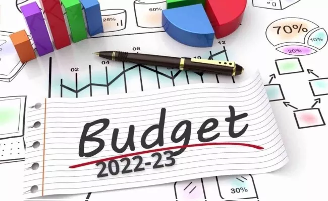Budget 2022 to go paperless for the second time - Sakshi