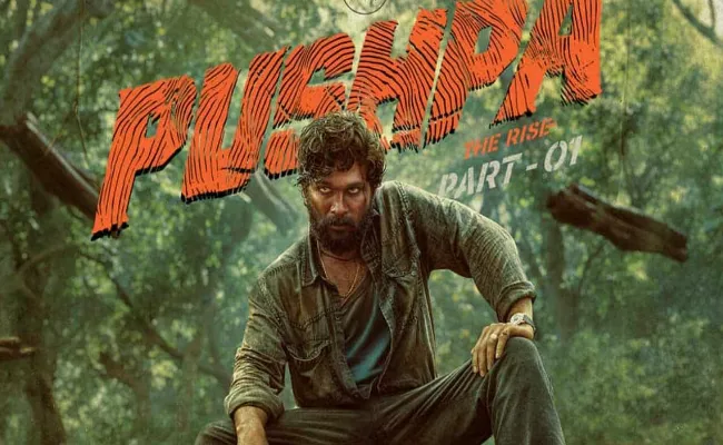 Pushpa Movie Hindi Version Earns 100 Crores In India - Sakshi